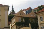 samopnoucí psí víno na Malé Straně pod hradem v Praze